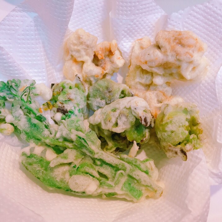 春ですね☆ふきのとうとアスパラ菜と鶏の天ぷら